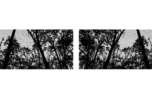 Blessings of the Masses, Nicolas Rsuton