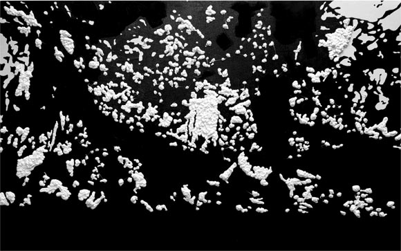 How shall the new environment be programmed