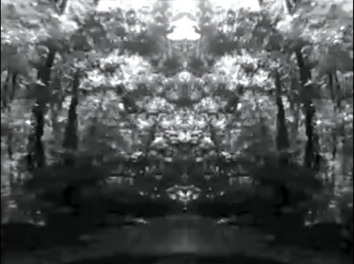 Examining precisely the habits of who is most attuned to the commodities secret logic, Nicolas Rsuton