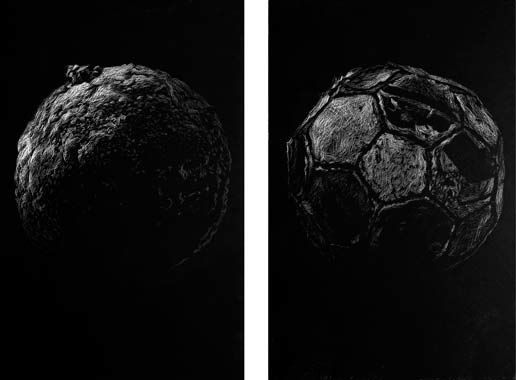 The End 1, Nicolas Ruston